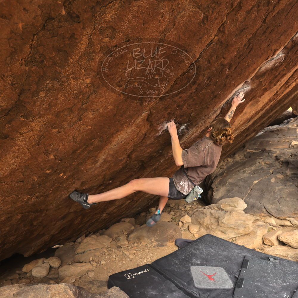 Filename: SRM_20260104_1445550.jpg
Aperture: f/5.6
Shutter Speed: 1/400
Body: Canon EOS R6
Lens: Canon EF 16-35mm f/2.8 L