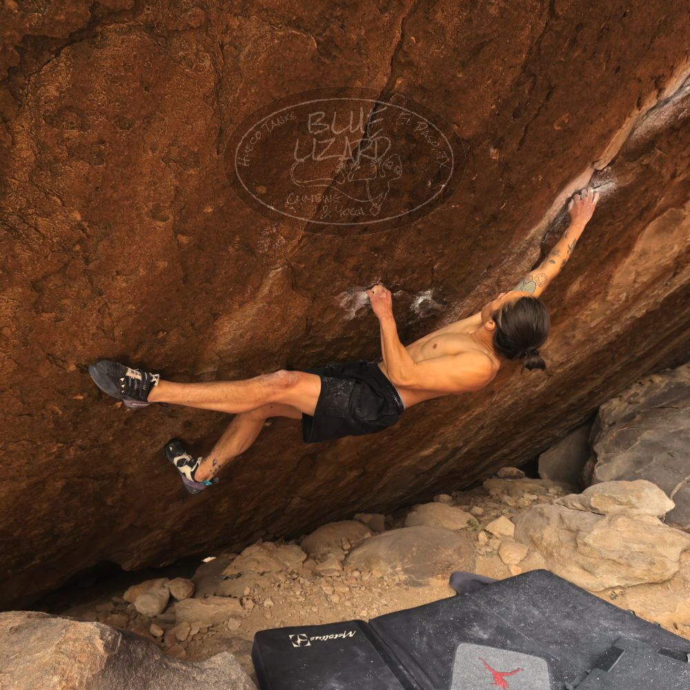 

Filename: SRM_20260104_1446350.jpg
Aperture: f/5.6
Shutter Speed: 1/400
Body: Canon EOS R6
Lens: Canon EF 16-35mm f/2.8 L