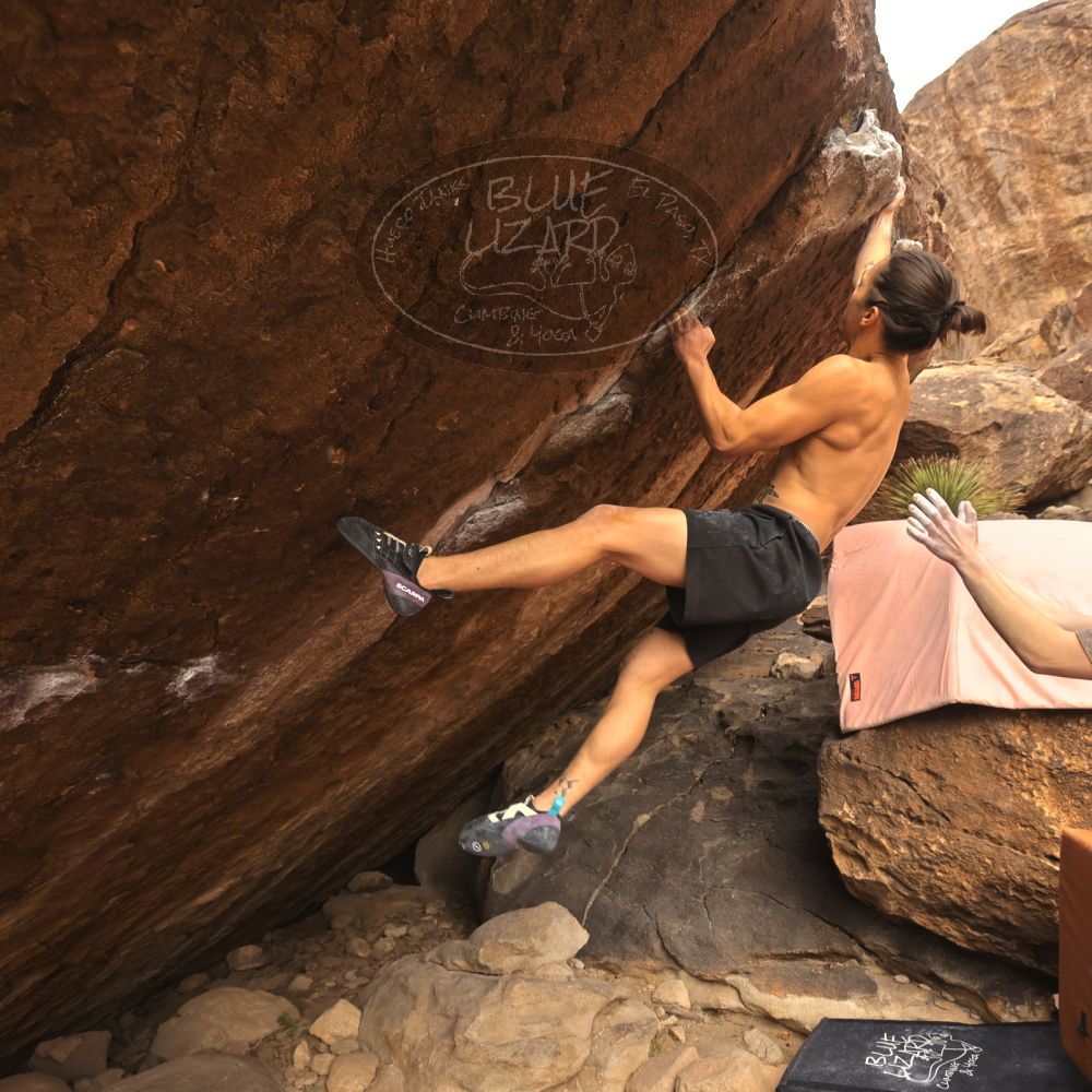 

Filename: SRM_20260104_1446520.jpg
Aperture: f/5.6
Shutter Speed: 1/400
Body: Canon EOS R6
Lens: Canon EF 16-35mm f/2.8 L