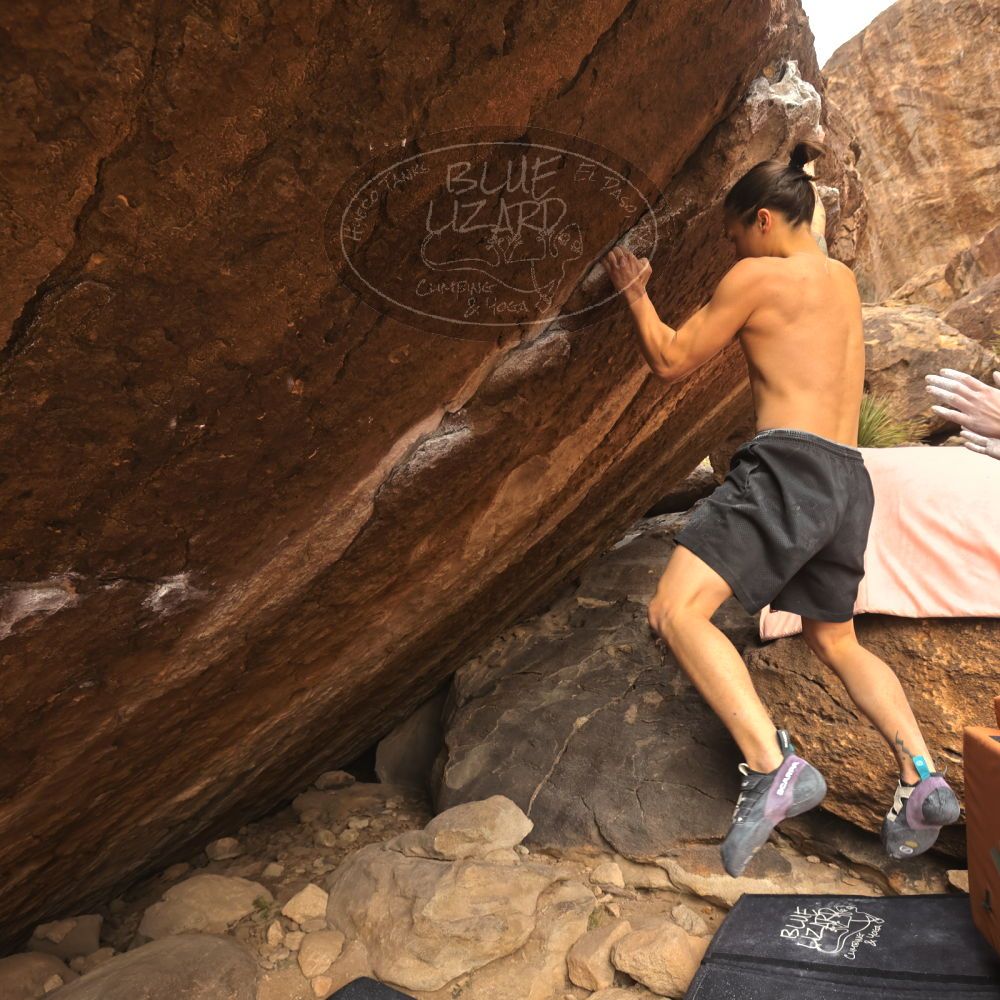 

Filename: SRM_20260104_1446521.jpg
Aperture: f/5.6
Shutter Speed: 1/400
Body: Canon EOS R6
Lens: Canon EF 16-35mm f/2.8 L