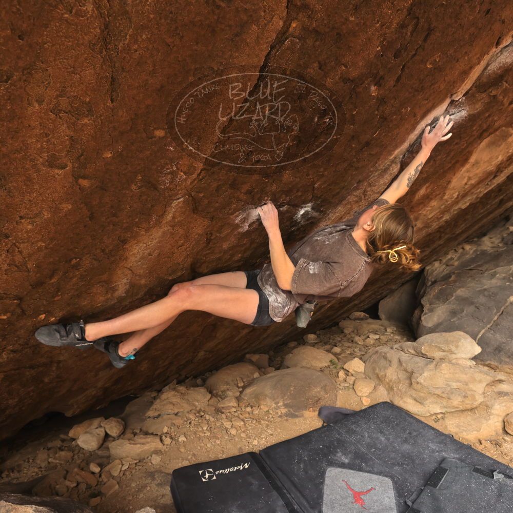 

Filename: SRM_20260104_1448230.jpg
Aperture: f/5.6
Shutter Speed: 1/400
Body: Canon EOS R6
Lens: Canon EF 16-35mm f/2.8 L