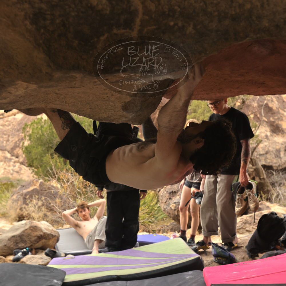 

Filename: SRM_20260104_1501240.jpg
Aperture: f/5.6
Shutter Speed: 1/400
Body: Canon EOS R6
Lens: Canon EF 16-35mm f/2.8 L