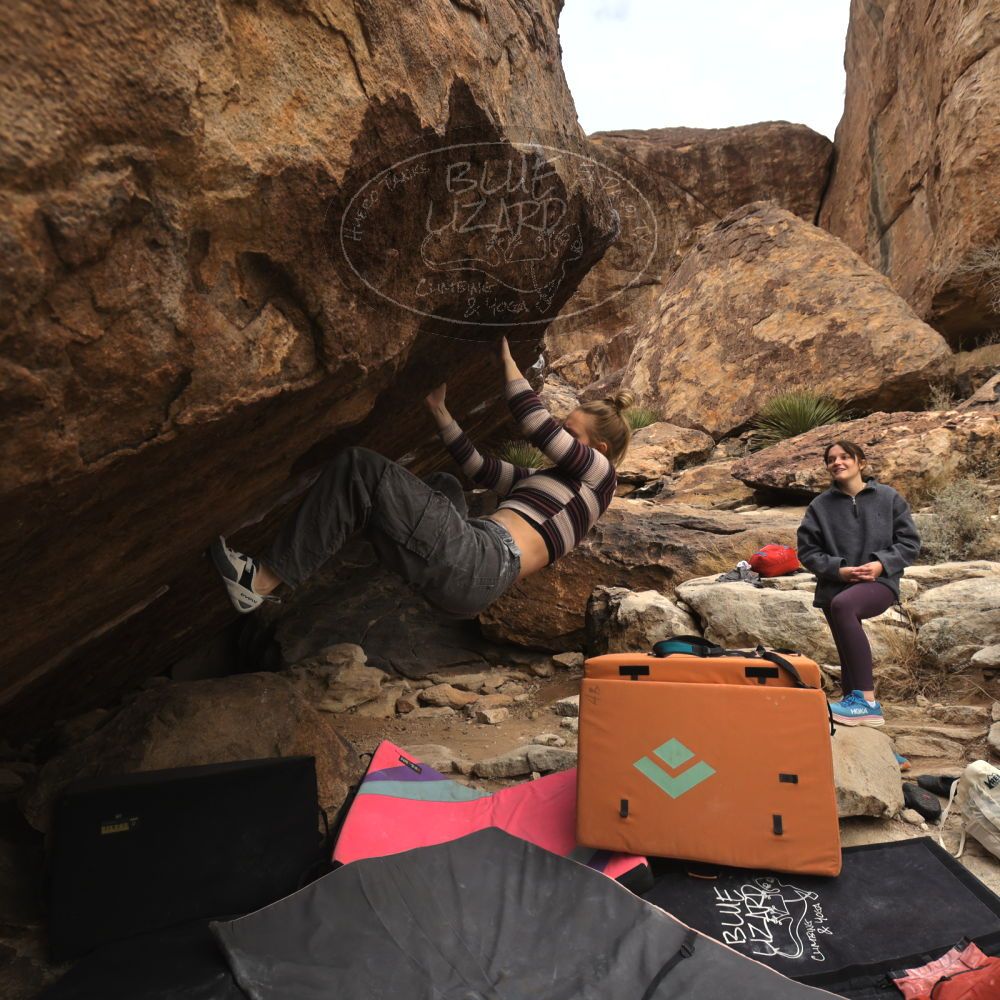 Filename: SRM_20260104_1505170.jpg
Aperture: f/5.6
Shutter Speed: 1/400
Body: Canon EOS R6
Lens: Canon EF 16-35mm f/2.8 L