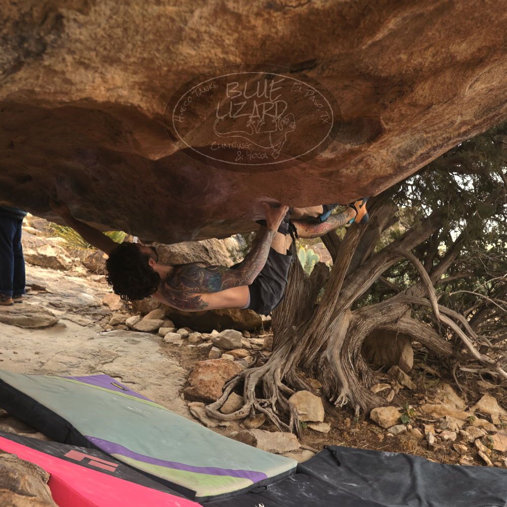 Filename: SRM_20260104_1509290.jpg
Aperture: f/5.6
Shutter Speed: 1/400
Body: Canon EOS R6
Lens: Canon EF 16-35mm f/2.8 L