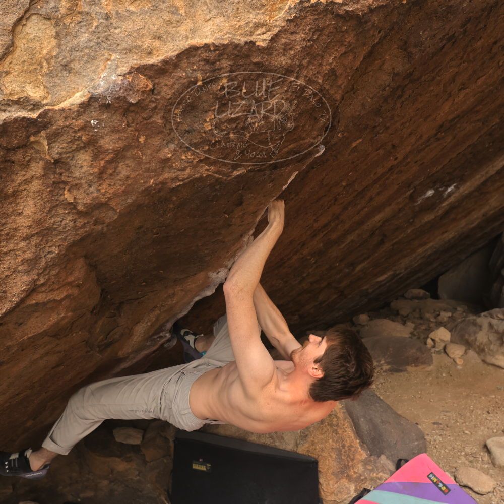 Filename: SRM_20260104_1512030.jpg
Aperture: f/5.6
Shutter Speed: 1/400
Body: Canon EOS R6
Lens: Canon EF 16-35mm f/2.8 L