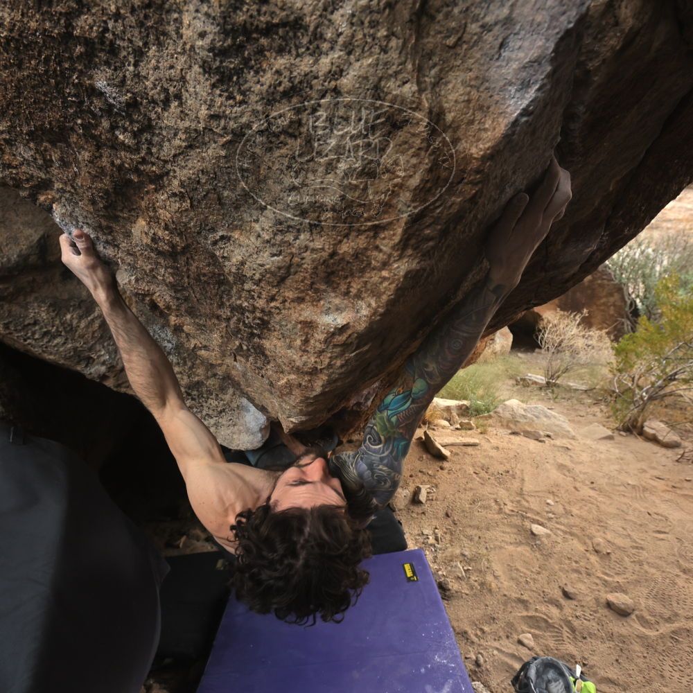 Filename: SRM_20260104_1613521.jpg
Aperture: f/5.6
Shutter Speed: 1/400
Body: Canon EOS R6
Lens: Canon EF 16-35mm f/2.8 L