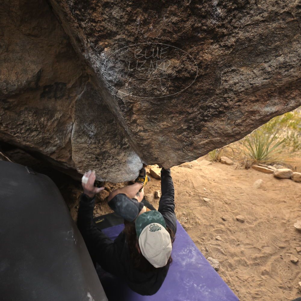 

Filename: SRM_20260104_1626480.jpg
Aperture: f/5.6
Shutter Speed: 1/320
Body: Canon EOS R6
Lens: Canon EF 16-35mm f/2.8 L