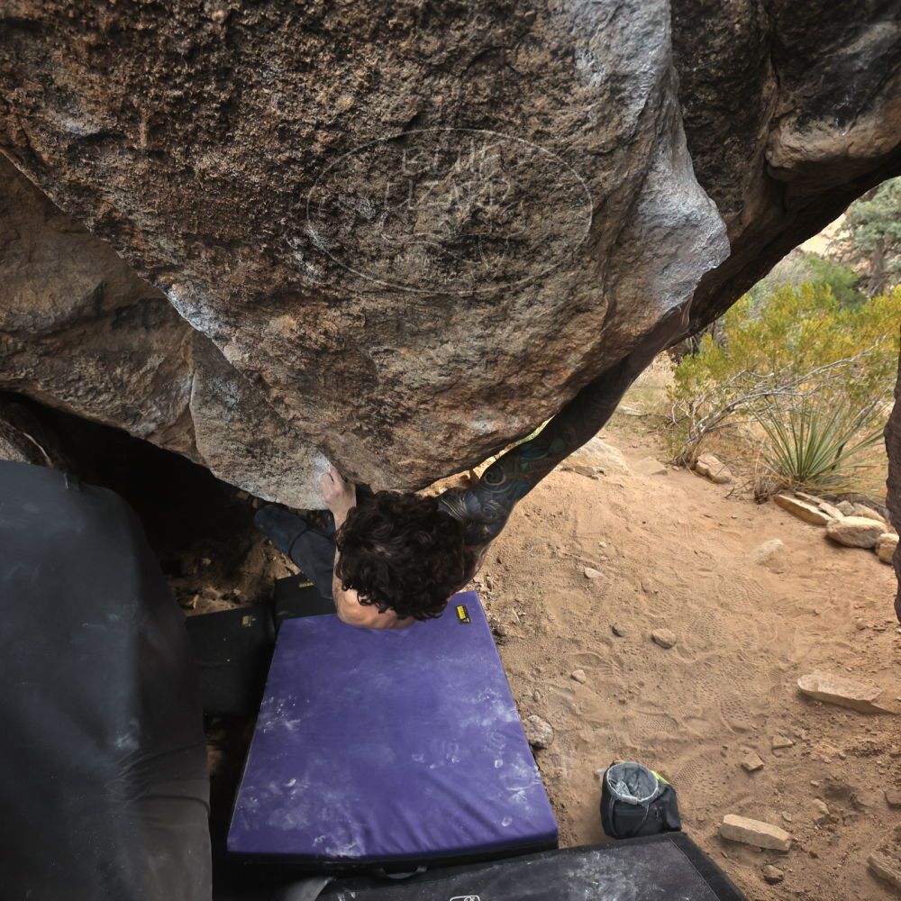 

Filename: SRM_20260104_1634531.jpg
Aperture: f/5.6
Shutter Speed: 1/320
Body: Canon EOS R6
Lens: Canon EF 16-35mm f/2.8 L