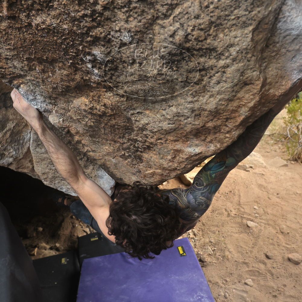 

Filename: SRM_20260104_1634550.jpg
Aperture: f/5.6
Shutter Speed: 1/320
Body: Canon EOS R6
Lens: Canon EF 16-35mm f/2.8 L