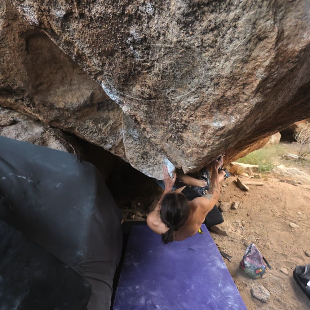 

Filename: SRM_20260104_1651480.jpg
Aperture: f/5.6
Shutter Speed: 1/320
Body: Canon EOS R6
Lens: Canon EF 16-35mm f/2.8 L