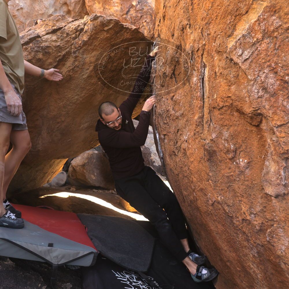 

Filename: SRM_20260117_1014450.jpg
Aperture: f/5.6
Shutter Speed: 1/320
Body: Canon EOS R6
Lens: Canon EF 16-35mm f/2.8 L