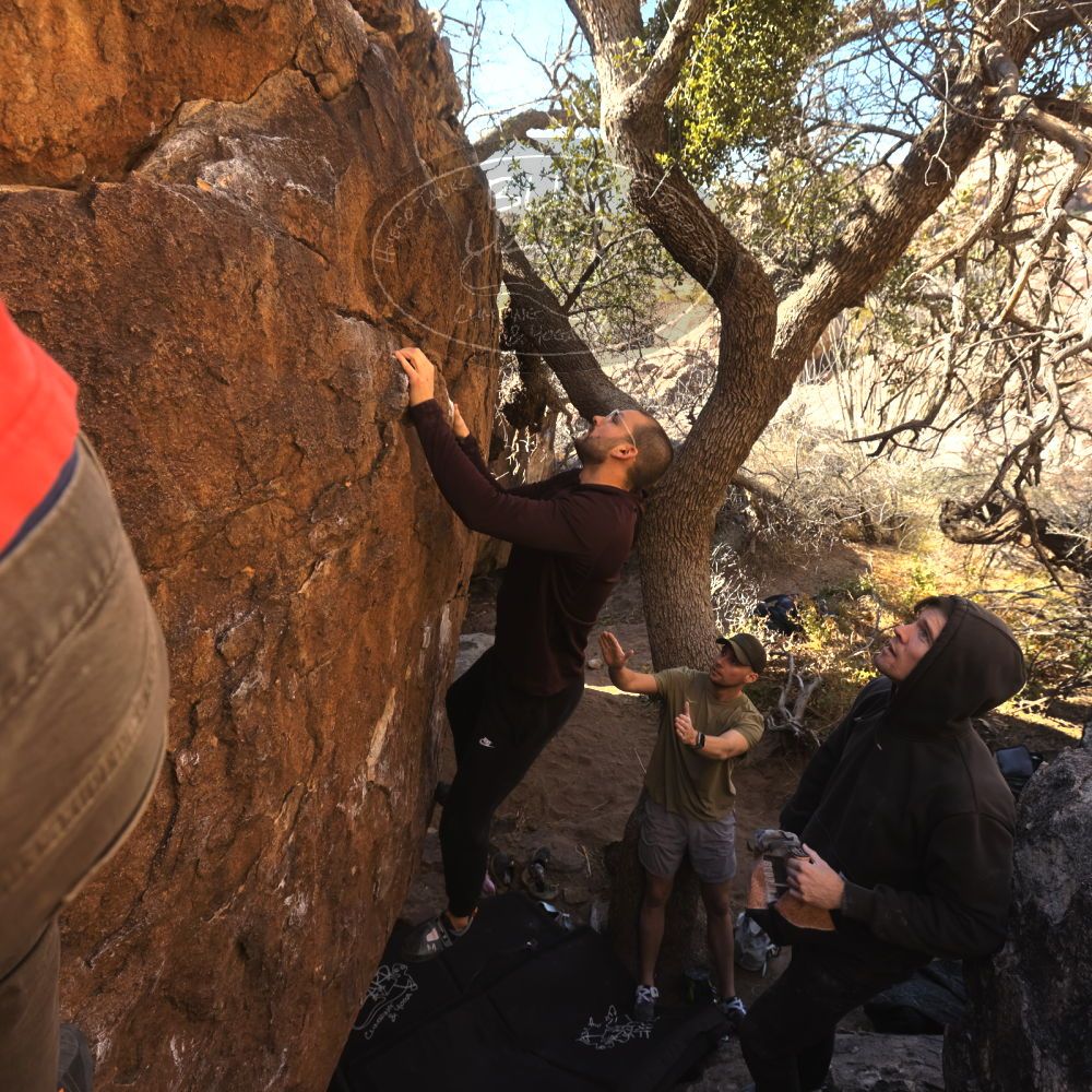 

Filename: SRM_20260117_1020250.jpg
Aperture: f/5.6
Shutter Speed: 1/320
Body: Canon EOS R6
Lens: Canon EF 16-35mm f/2.8 L