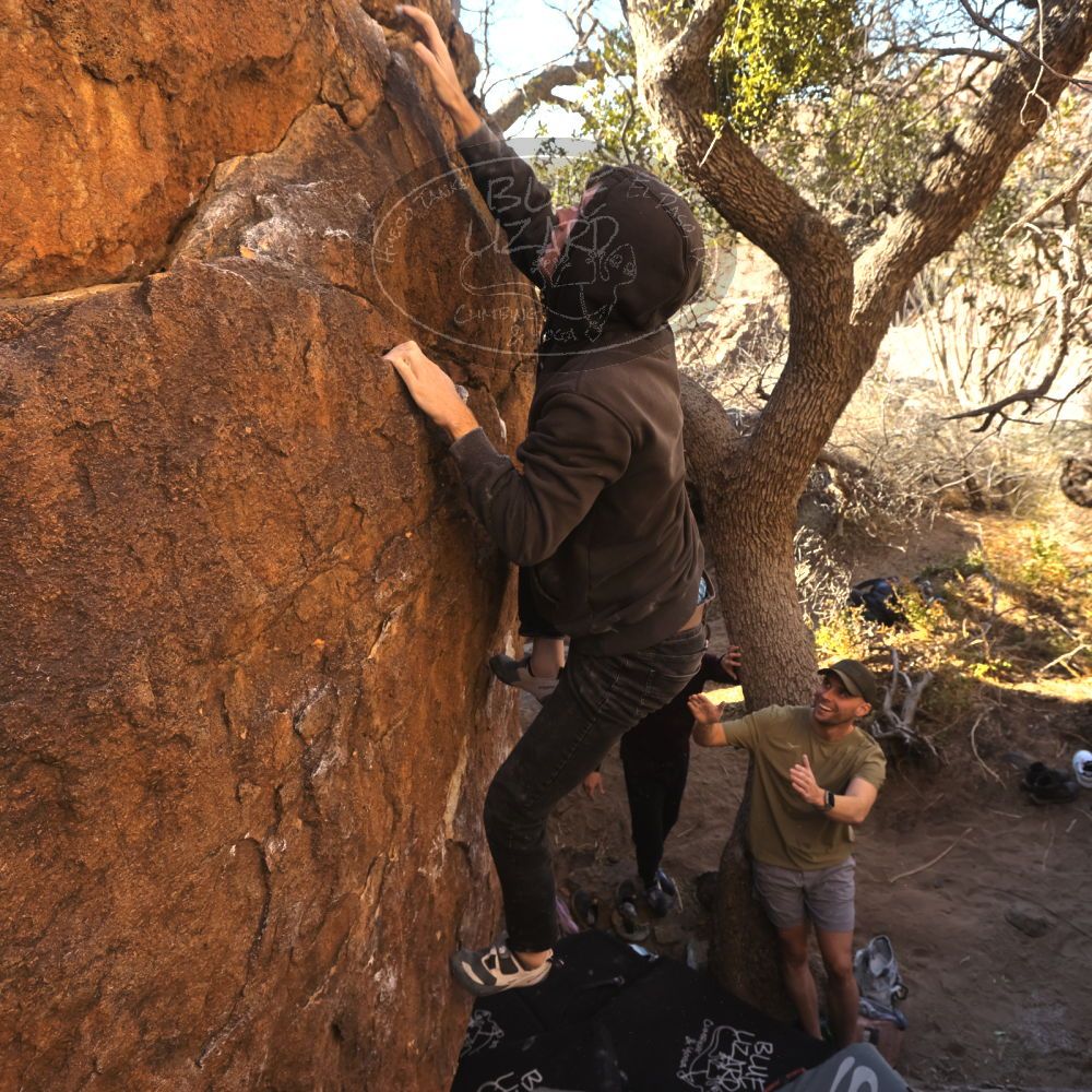 

Filename: SRM_20260117_1022050.jpg
Aperture: f/5.6
Shutter Speed: 1/320
Body: Canon EOS R6
Lens: Canon EF 16-35mm f/2.8 L