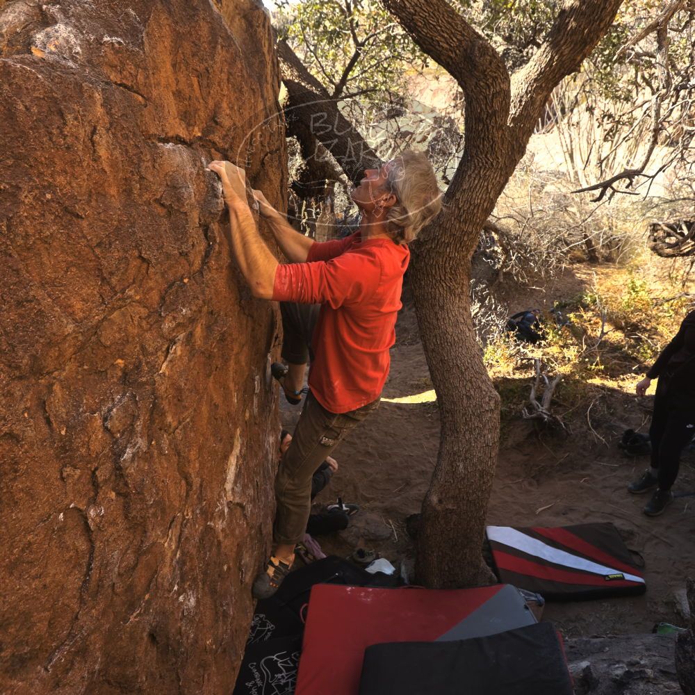 

Filename: SRM_20260117_1028030.jpg
Aperture: f/5.6
Shutter Speed: 1/320
Body: Canon EOS R6
Lens: Canon EF 16-35mm f/2.8 L