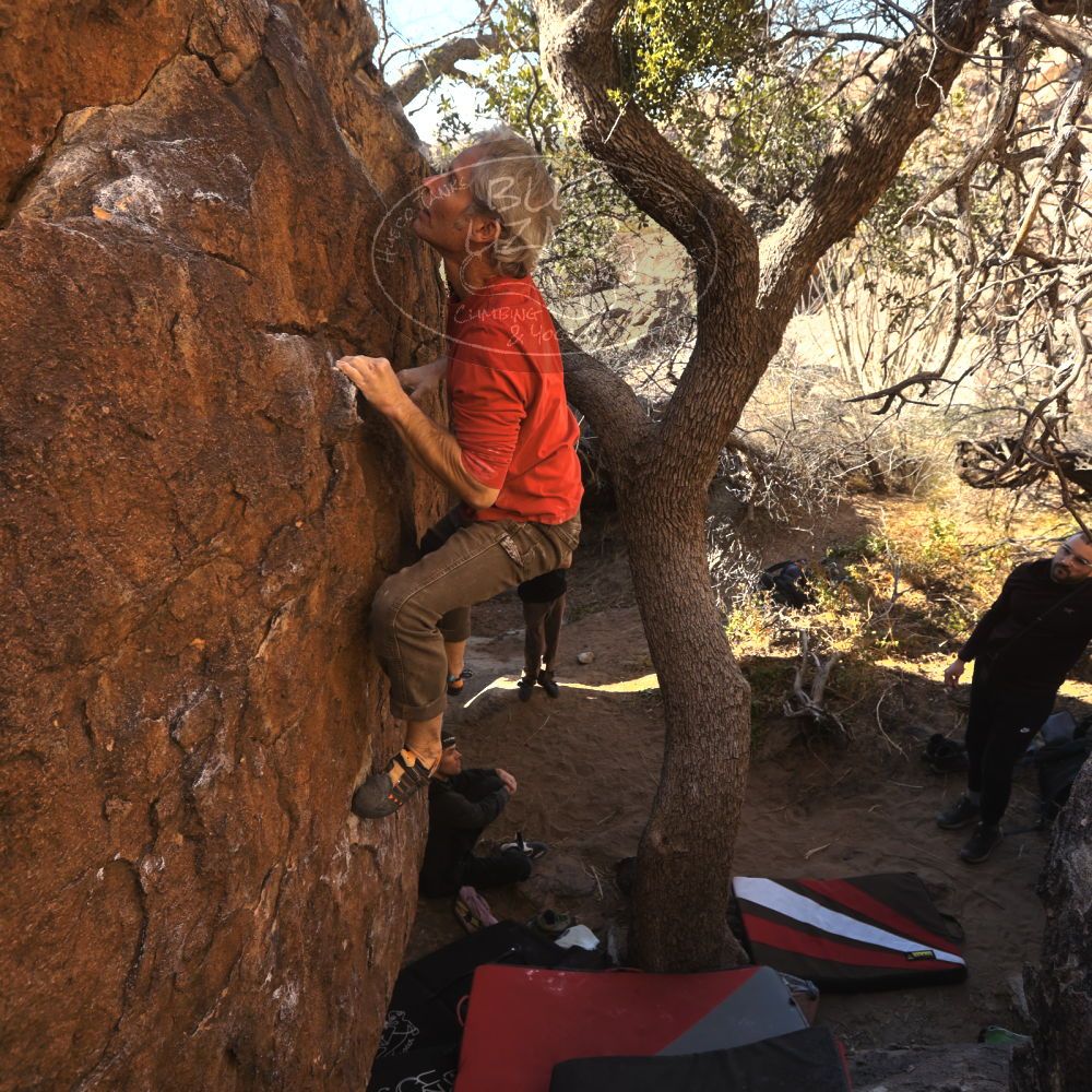 

Filename: SRM_20260117_1028050.jpg
Aperture: f/5.6
Shutter Speed: 1/320
Body: Canon EOS R6
Lens: Canon EF 16-35mm f/2.8 L