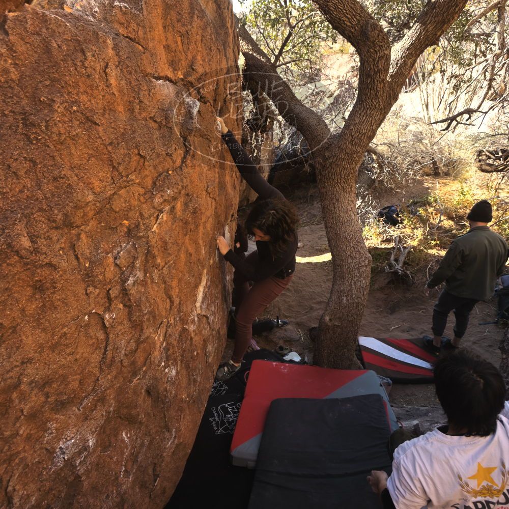 

Filename: SRM_20260117_1029290.jpg
Aperture: f/5.6
Shutter Speed: 1/320
Body: Canon EOS R6
Lens: Canon EF 16-35mm f/2.8 L