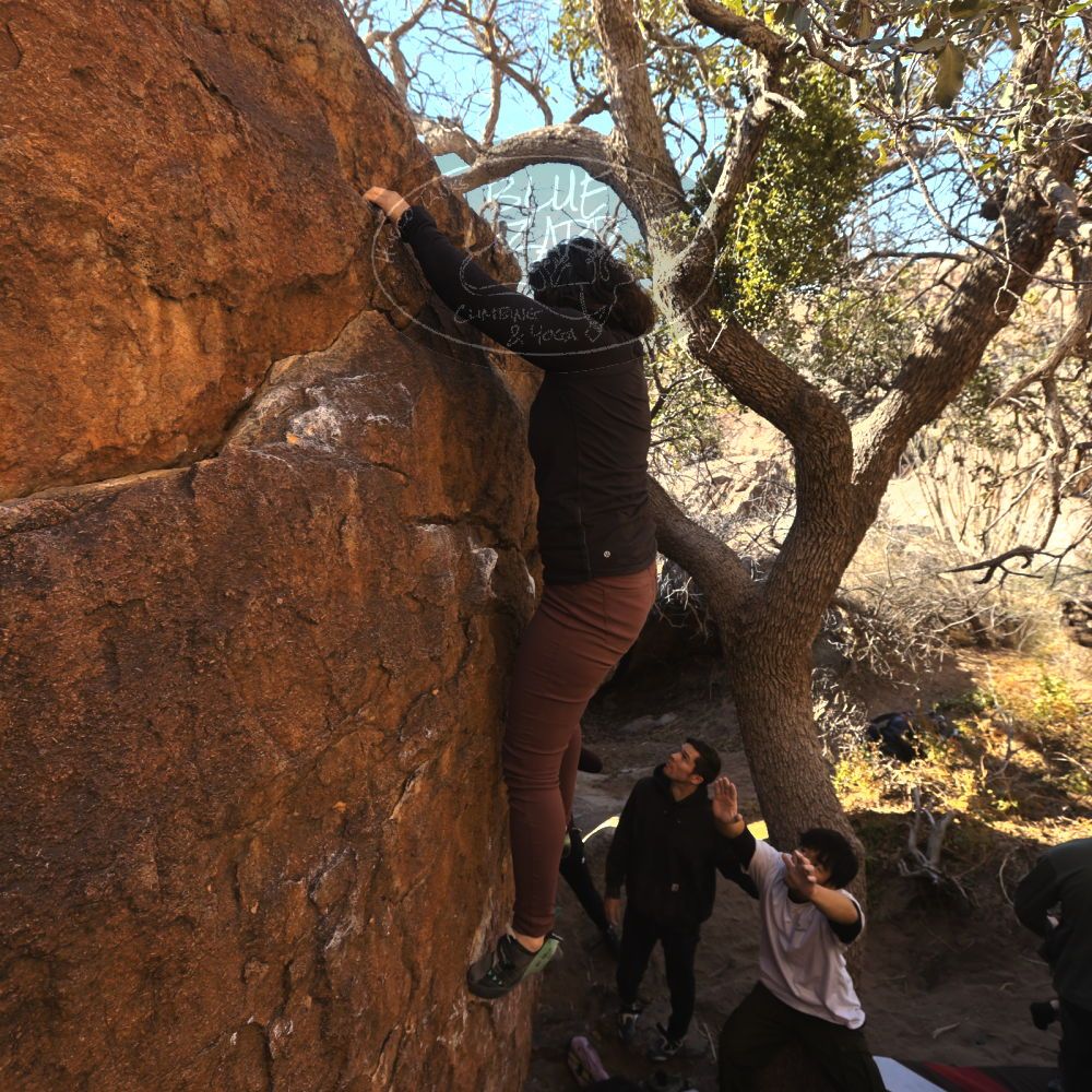 

Filename: SRM_20260117_1029460.jpg
Aperture: f/5.6
Shutter Speed: 1/320
Body: Canon EOS R6
Lens: Canon EF 16-35mm f/2.8 L