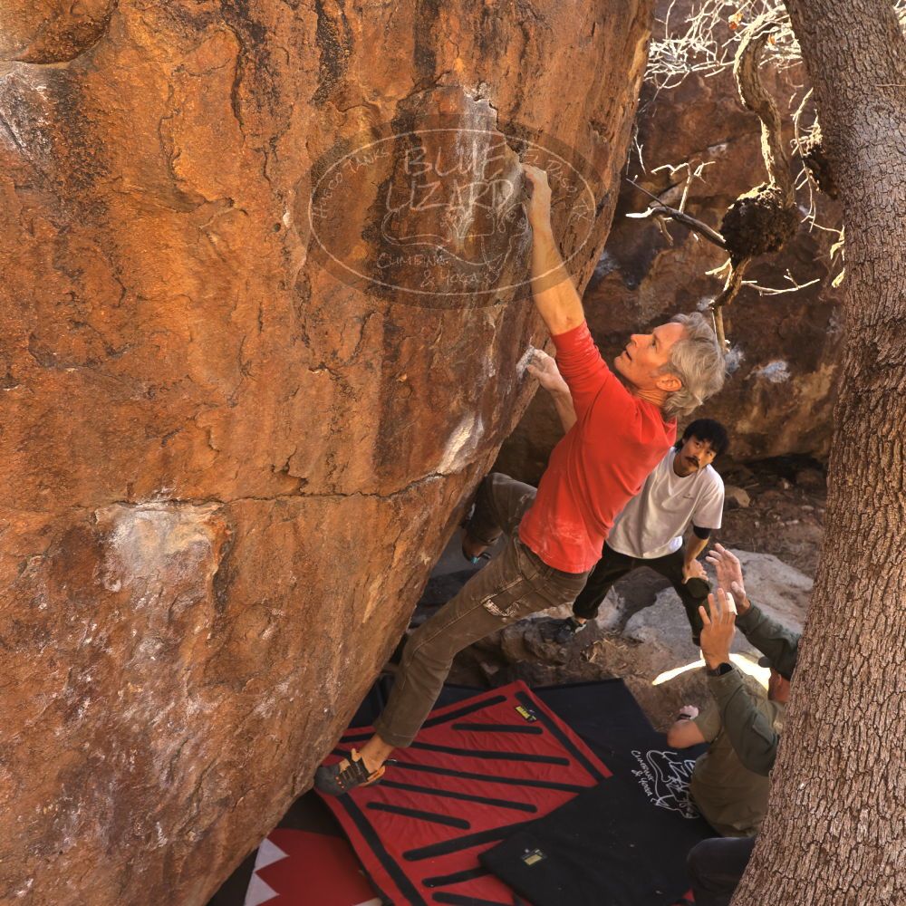 

Filename: SRM_20260117_1036530.jpg
Aperture: f/5.6
Shutter Speed: 1/320
Body: Canon EOS R6
Lens: Canon EF 16-35mm f/2.8 L