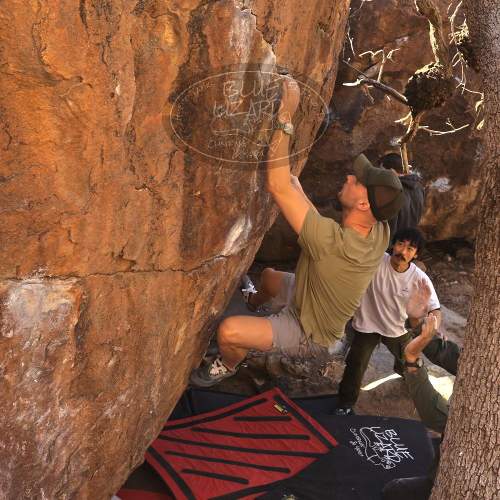 

Filename: SRM_20260117_1037570.jpg
Aperture: f/5.6
Shutter Speed: 1/320
Body: Canon EOS R6
Lens: Canon EF 16-35mm f/2.8 L