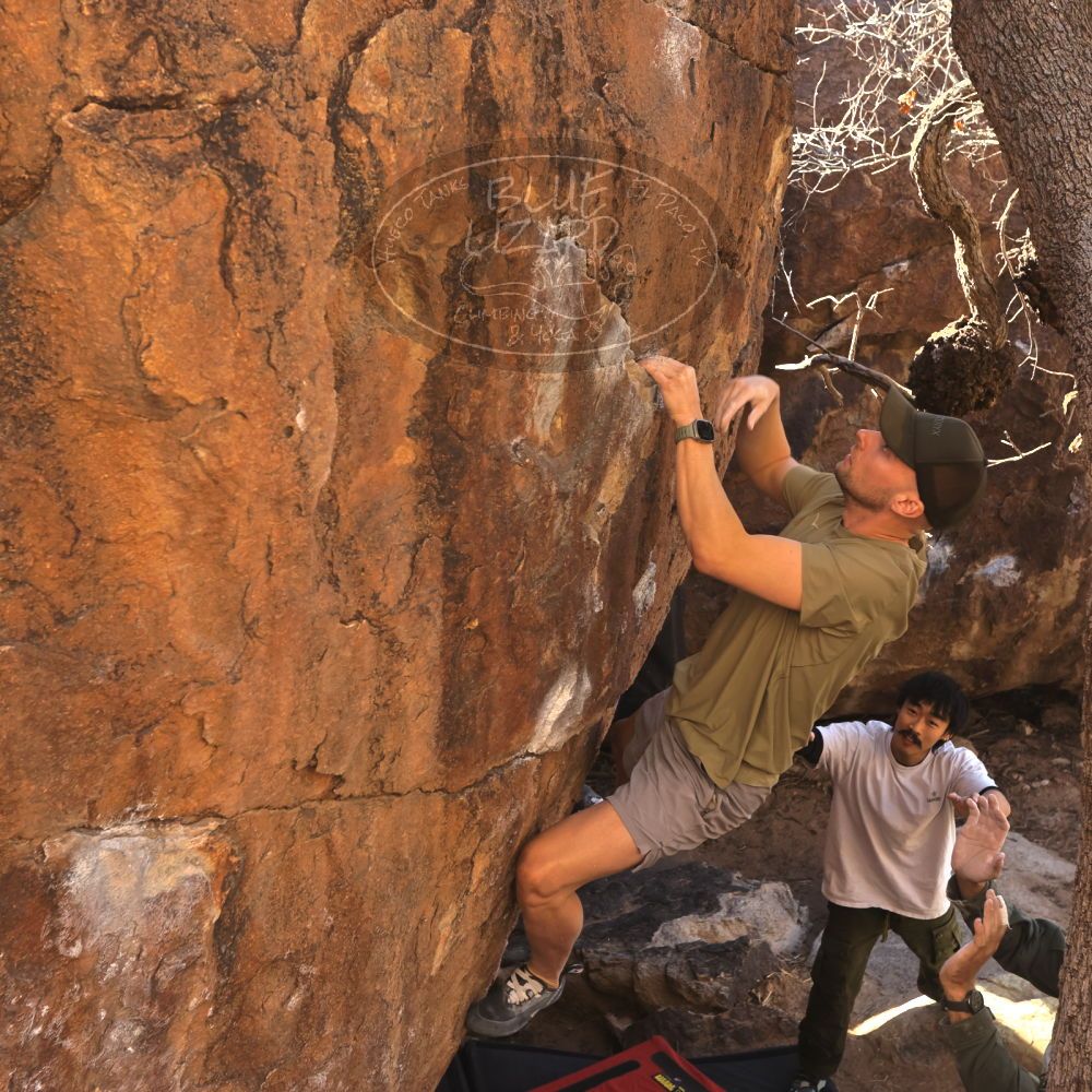 

Filename: SRM_20260117_1037580.jpg
Aperture: f/5.6
Shutter Speed: 1/320
Body: Canon EOS R6
Lens: Canon EF 16-35mm f/2.8 L