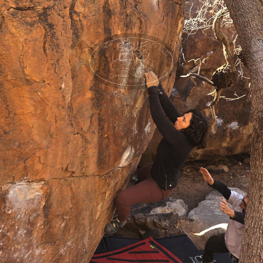 

Filename: SRM_20260117_1039460.jpg
Aperture: f/5.6
Shutter Speed: 1/320
Body: Canon EOS R6
Lens: Canon EF 16-35mm f/2.8 L