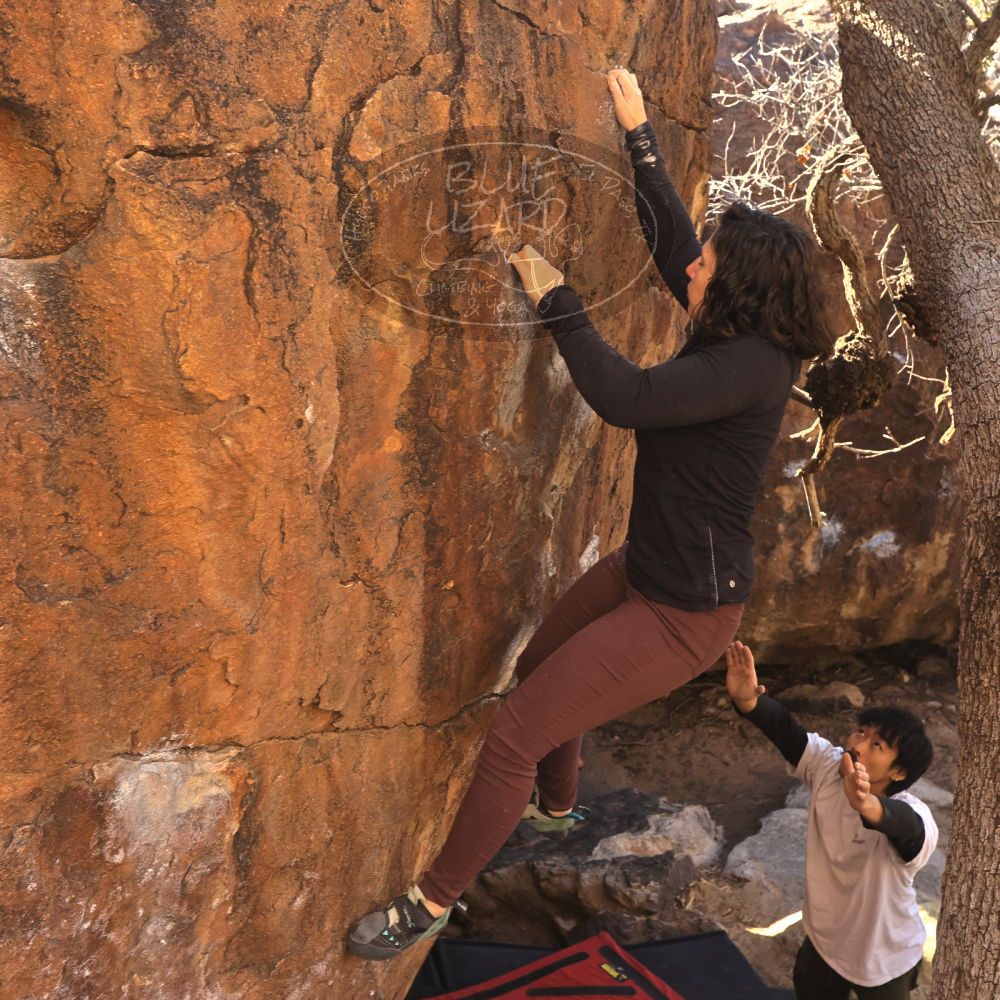 

Filename: SRM_20260117_1039570.jpg
Aperture: f/5.6
Shutter Speed: 1/320
Body: Canon EOS R6
Lens: Canon EF 16-35mm f/2.8 L