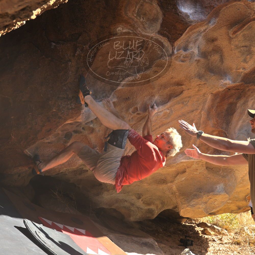 

Filename: SRM_20260117_1057350.jpg
Aperture: f/5.6
Shutter Speed: 1/320
Body: Canon EOS R6
Lens: Canon EF 16-35mm f/2.8 L