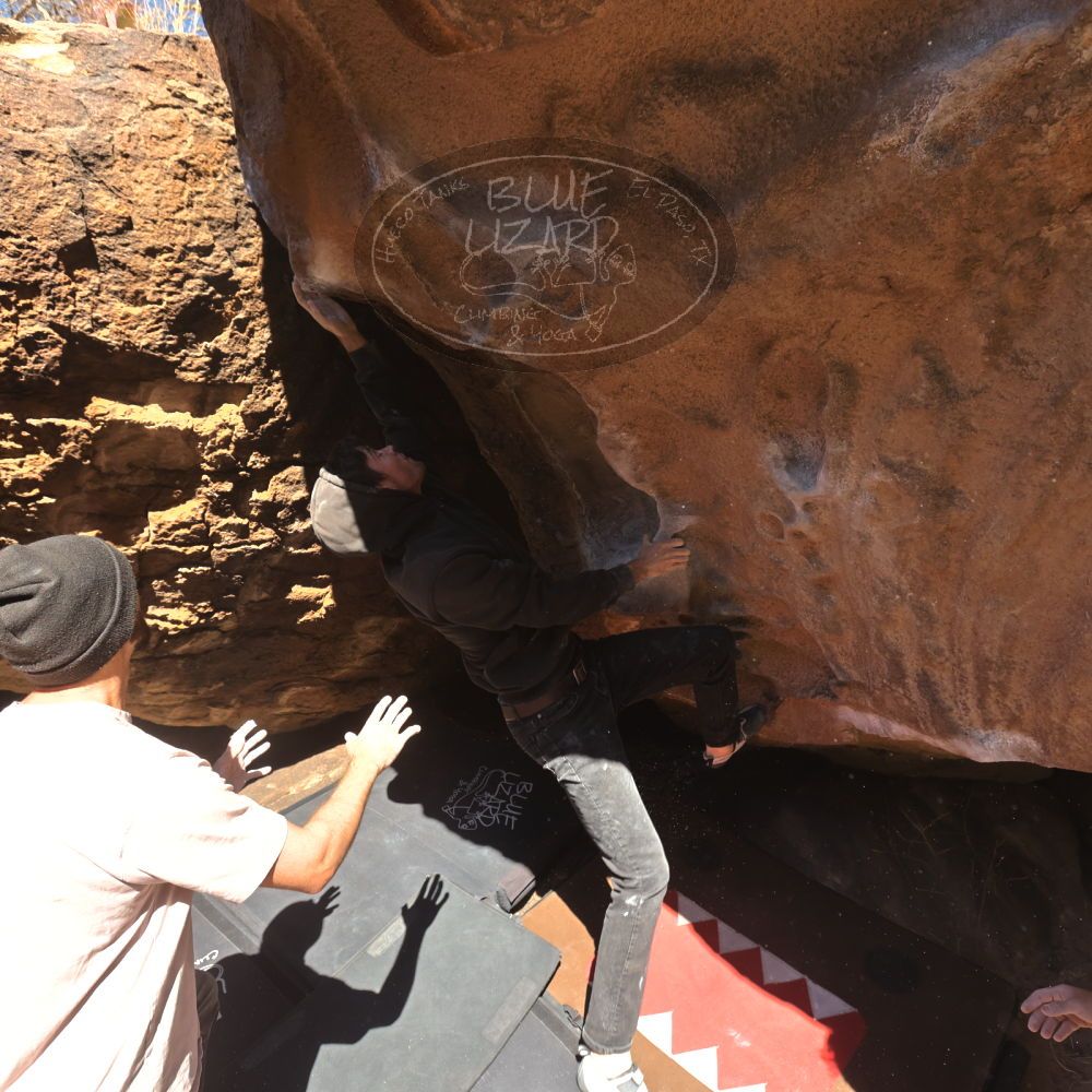 

Filename: SRM_20260117_1102110.jpg
Aperture: f/5.6
Shutter Speed: 1/500
Body: Canon EOS R6
Lens: Canon EF 16-35mm f/2.8 L