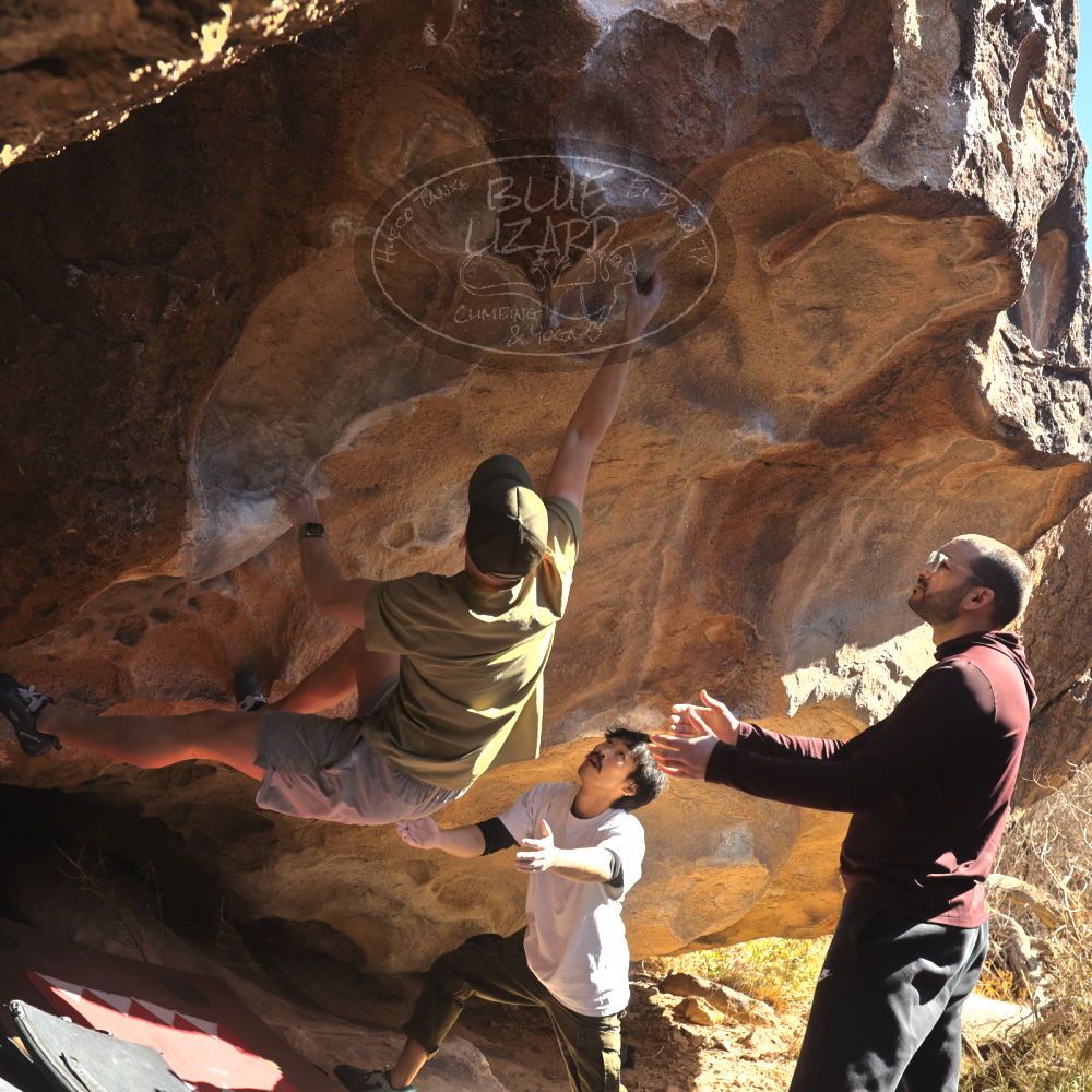 

Filename: SRM_20260117_1105081.jpg
Aperture: f/5.6
Shutter Speed: 1/500
Body: Canon EOS R6
Lens: Canon EF 16-35mm f/2.8 L