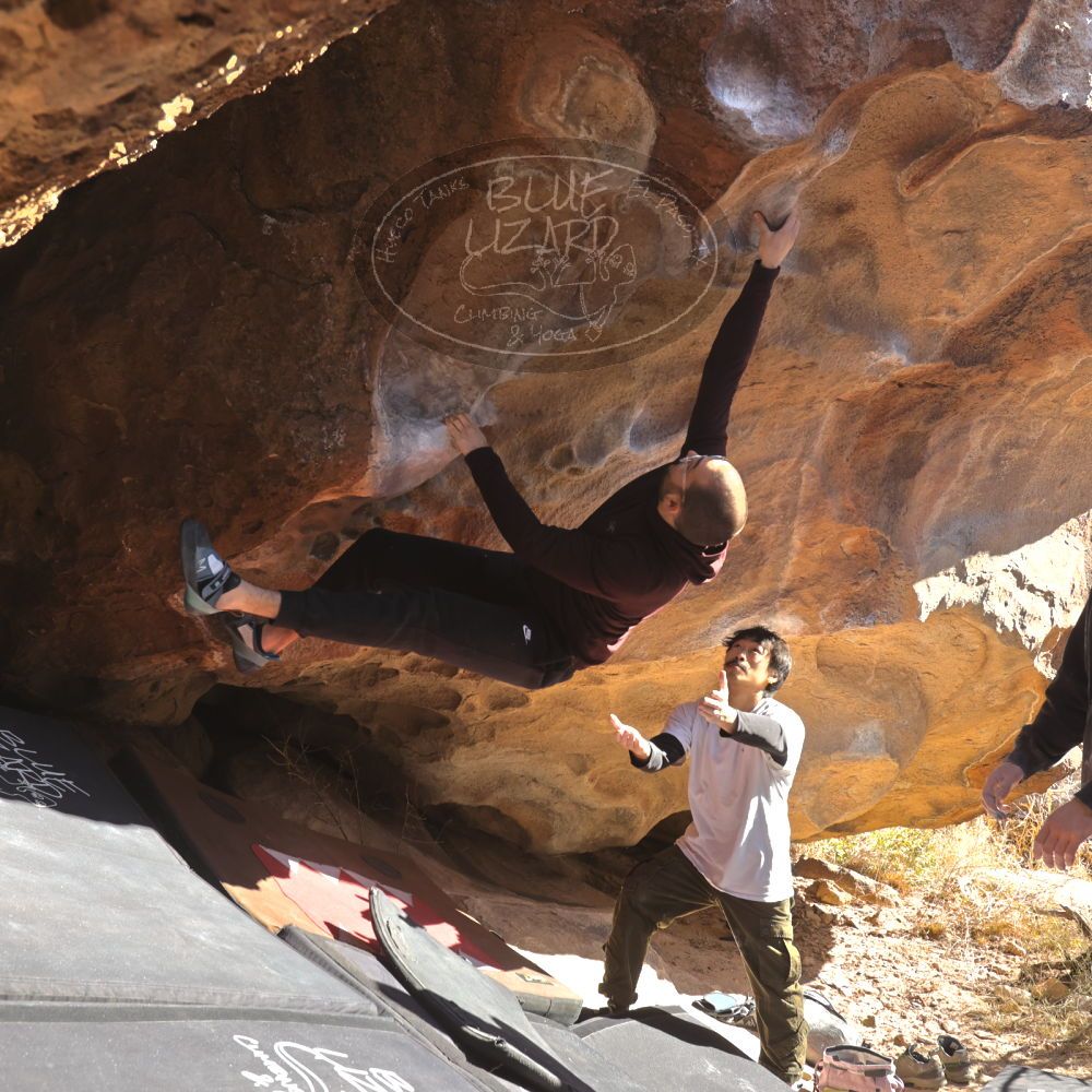 

Filename: SRM_20260117_1109130.jpg
Aperture: f/5.6
Shutter Speed: 1/500
Body: Canon EOS R6
Lens: Canon EF 16-35mm f/2.8 L