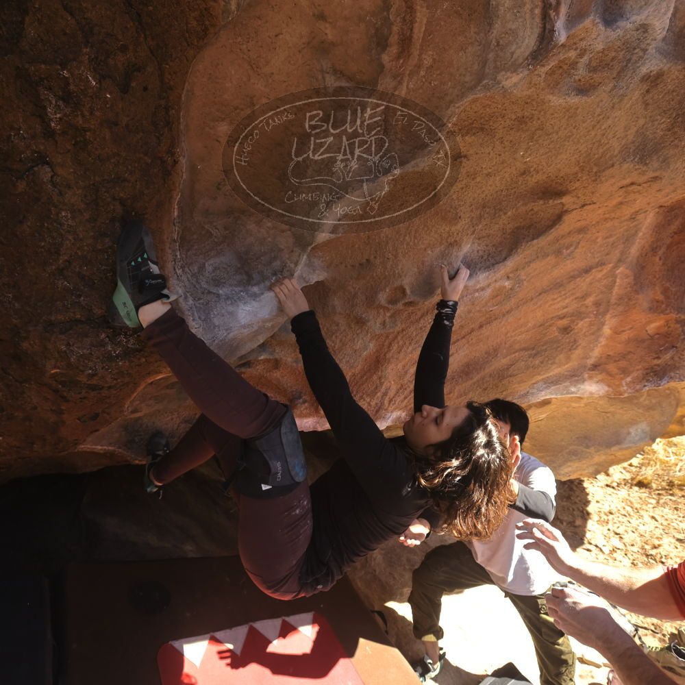 

Filename: SRM_20260117_1109370.jpg
Aperture: f/5.6
Shutter Speed: 1/500
Body: Canon EOS R6
Lens: Canon EF 16-35mm f/2.8 L