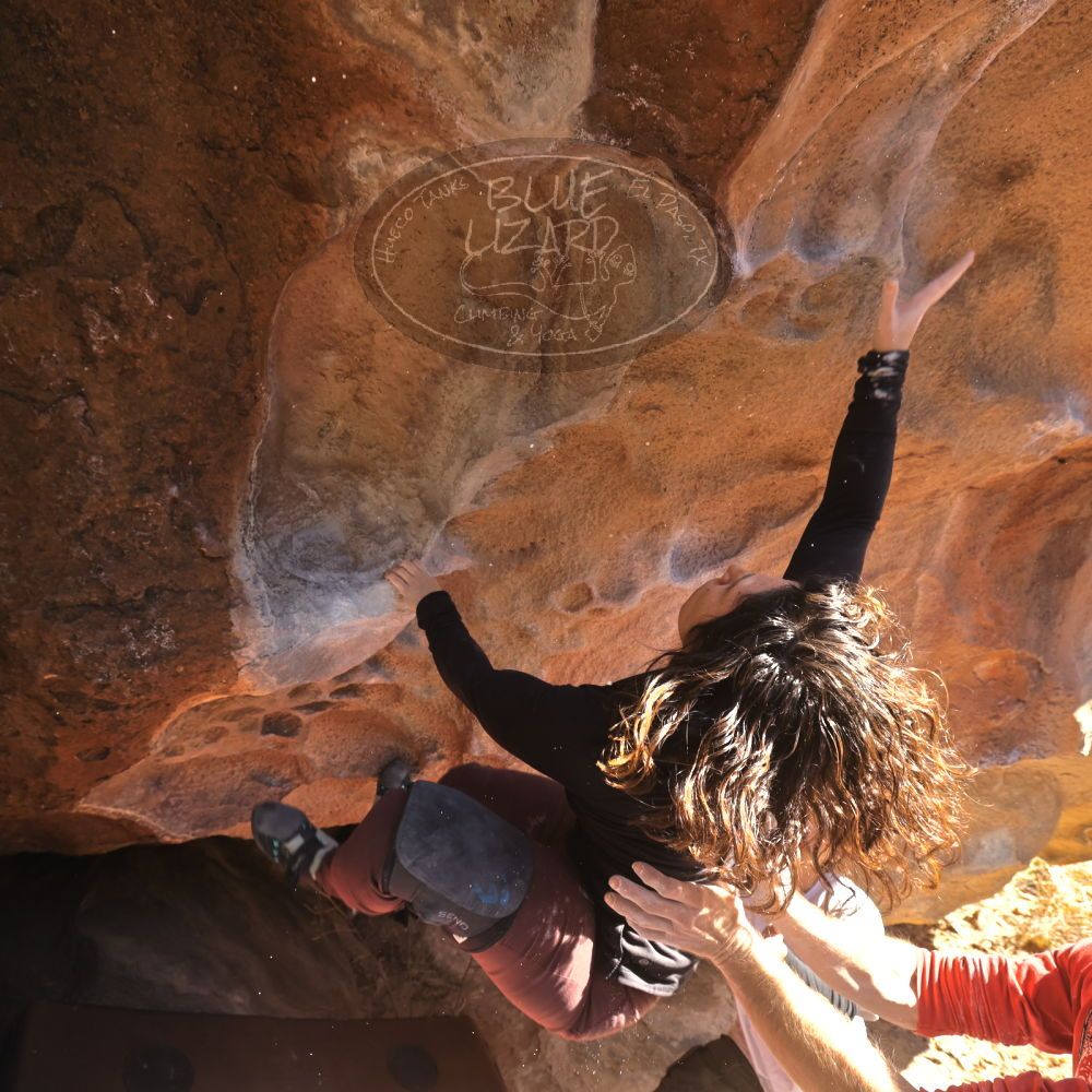 

Filename: SRM_20260117_1110090.jpg
Aperture: f/5.6
Shutter Speed: 1/500
Body: Canon EOS R6
Lens: Canon EF 16-35mm f/2.8 L