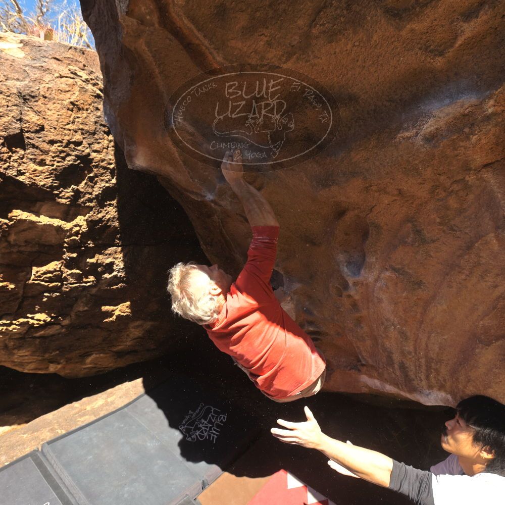 

Filename: SRM_20260117_1111210.jpg
Aperture: f/5.6
Shutter Speed: 1/500
Body: Canon EOS R6
Lens: Canon EF 16-35mm f/2.8 L