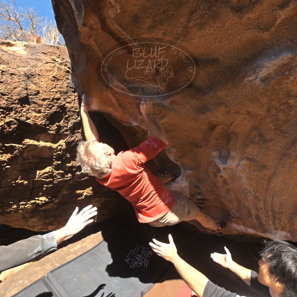 

Filename: SRM_20260117_1111240.jpg
Aperture: f/5.6
Shutter Speed: 1/500
Body: Canon EOS R6
Lens: Canon EF 16-35mm f/2.8 L