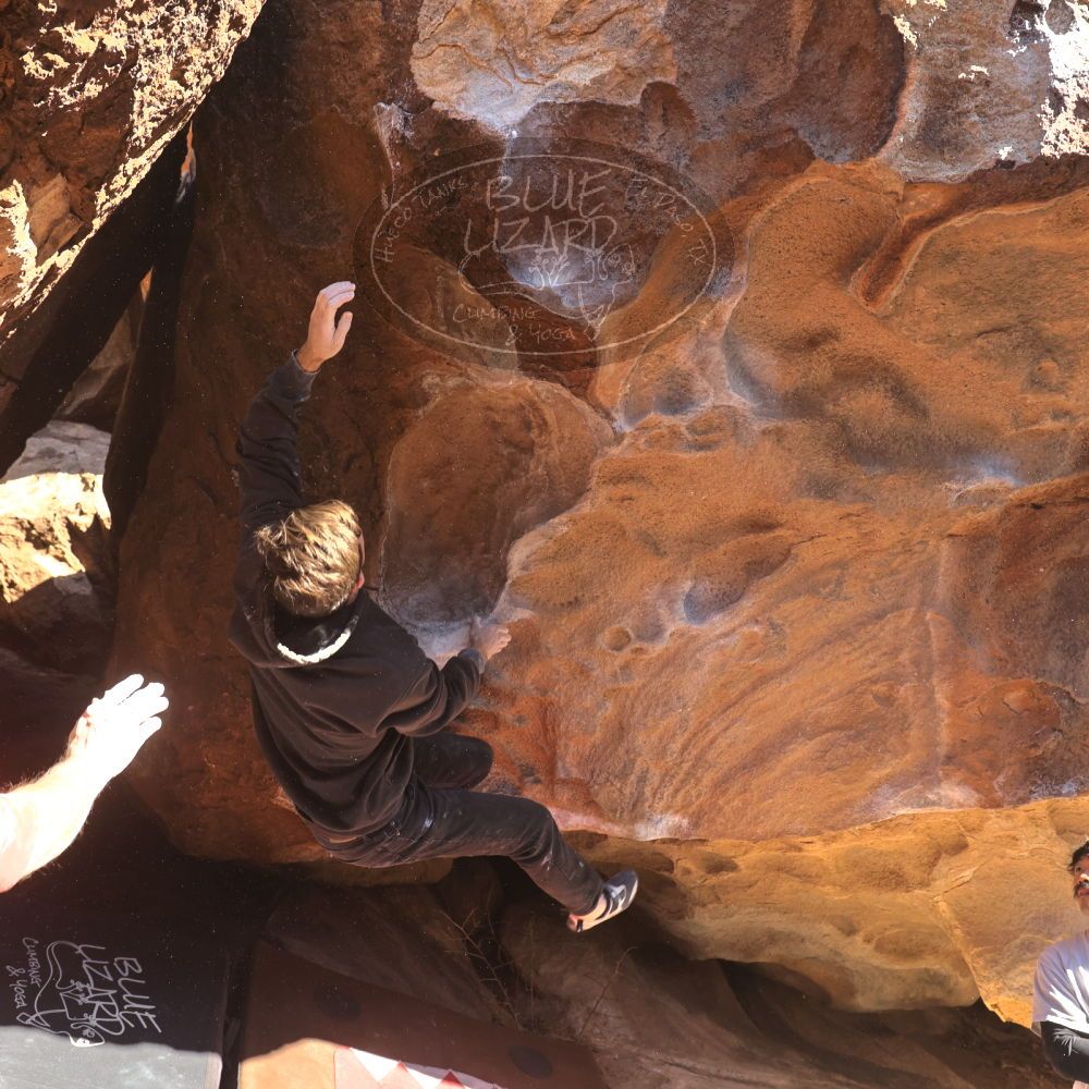 

Filename: SRM_20260117_1112420.jpg
Aperture: f/5.6
Shutter Speed: 1/500
Body: Canon EOS R6
Lens: Canon EF 16-35mm f/2.8 L