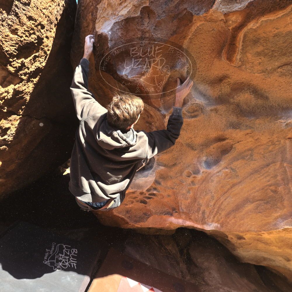 

Filename: SRM_20260117_1112510.jpg
Aperture: f/5.6
Shutter Speed: 1/500
Body: Canon EOS R6
Lens: Canon EF 16-35mm f/2.8 L