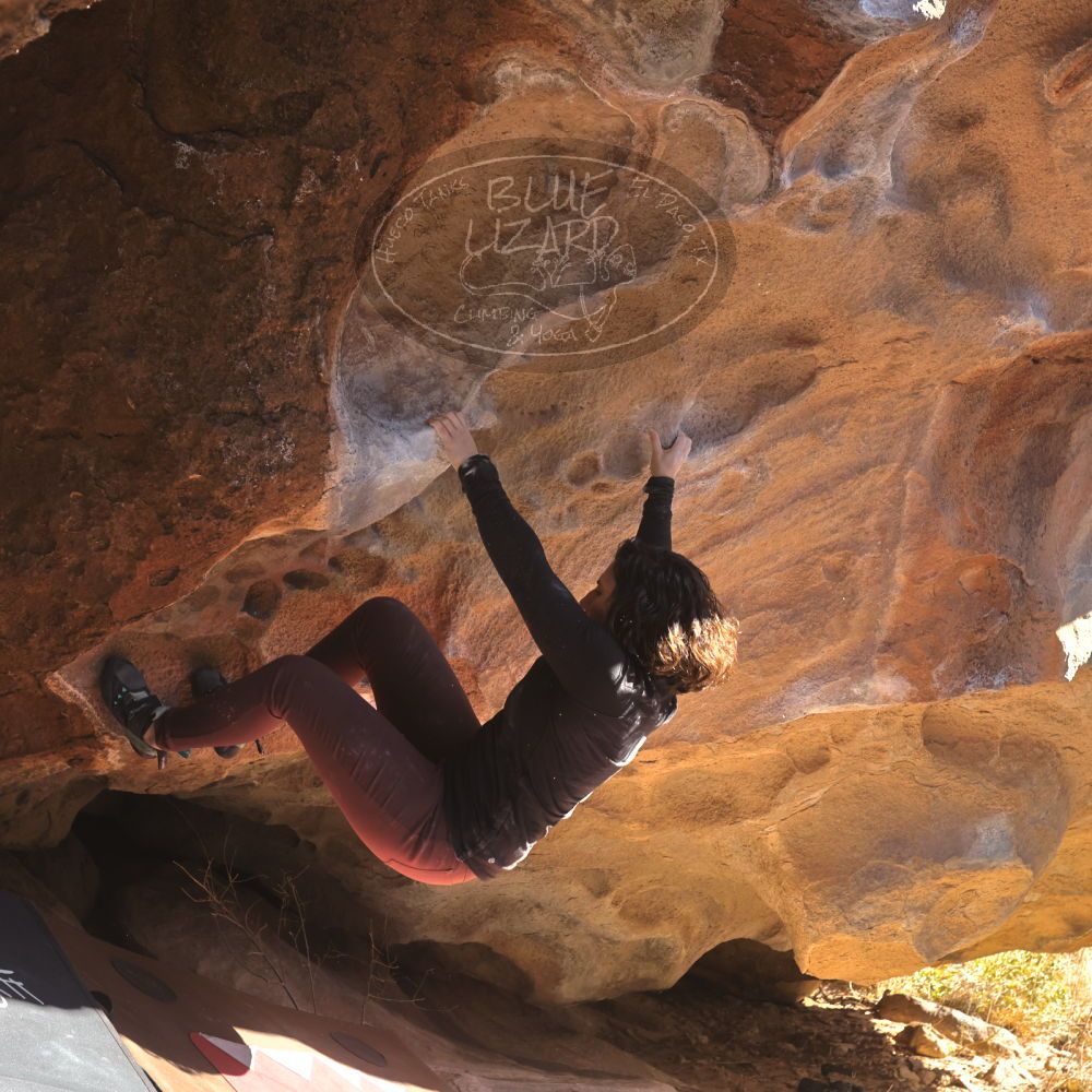 

Filename: SRM_20260117_1126350.jpg
Aperture: f/5.6
Shutter Speed: 1/500
Body: Canon EOS R6
Lens: Canon EF 16-35mm f/2.8 L