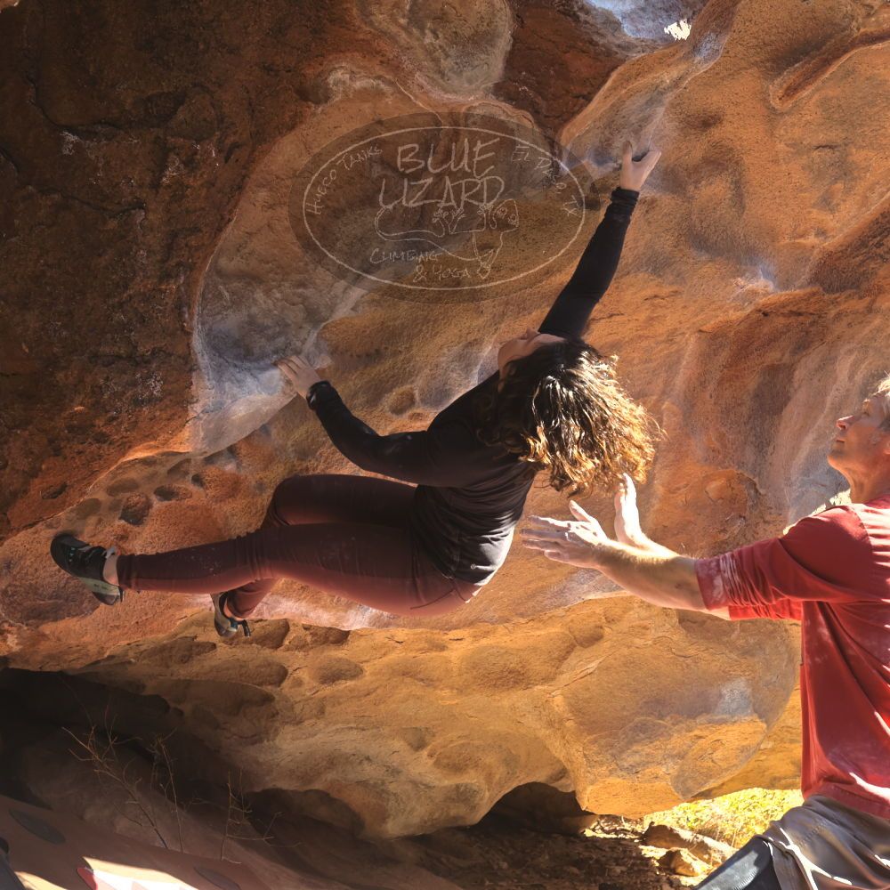 

Filename: SRM_20260117_1126400.jpg
Aperture: f/5.6
Shutter Speed: 1/500
Body: Canon EOS R6
Lens: Canon EF 16-35mm f/2.8 L