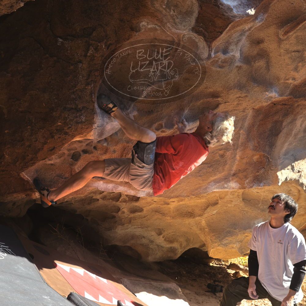 

Filename: SRM_20260117_1126590.jpg
Aperture: f/5.6
Shutter Speed: 1/500
Body: Canon EOS R6
Lens: Canon EF 16-35mm f/2.8 L