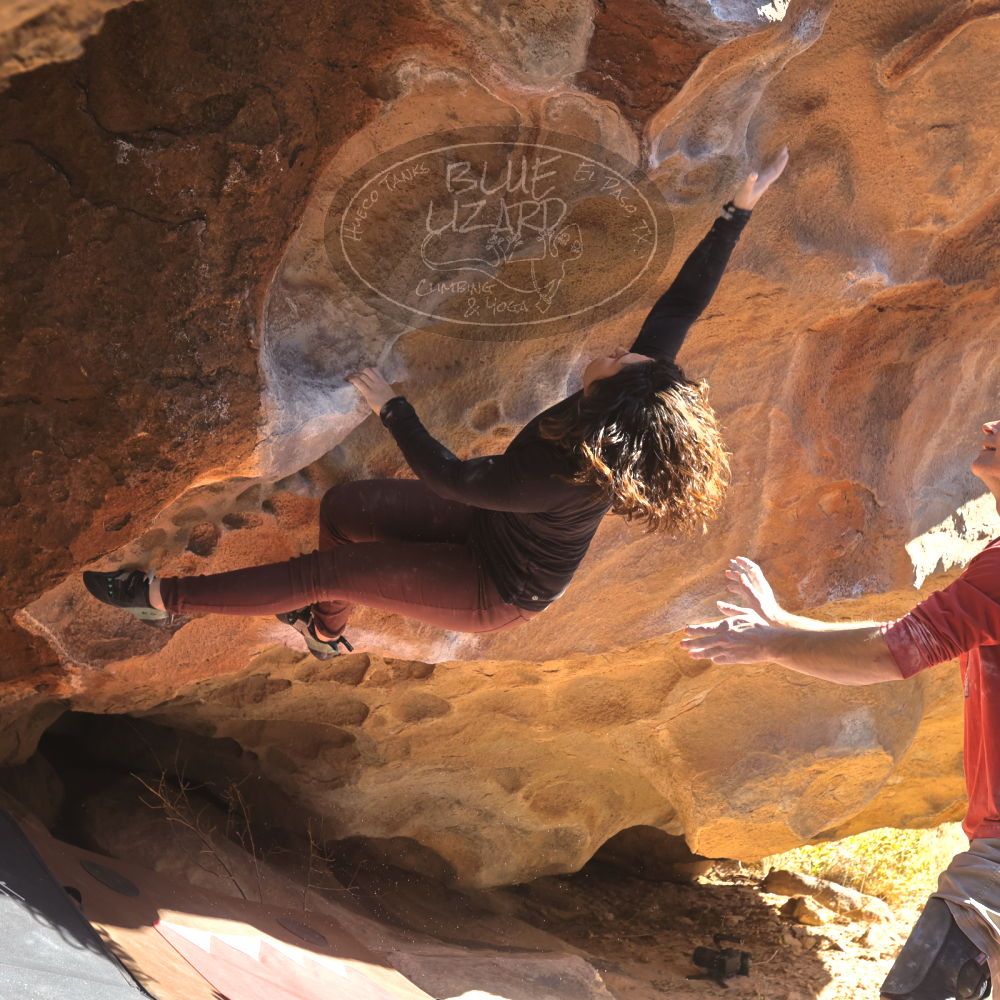 

Filename: SRM_20260117_1129410.jpg
Aperture: f/5.6
Shutter Speed: 1/500
Body: Canon EOS R6
Lens: Canon EF 16-35mm f/2.8 L