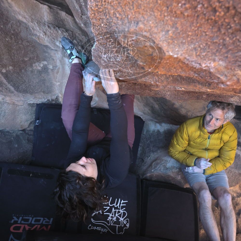 

Filename: SRM_20260117_1417220.jpg
Aperture: f/5.6
Shutter Speed: 1/500
Body: Canon EOS R6
Lens: Canon EF 16-35mm f/2.8 L