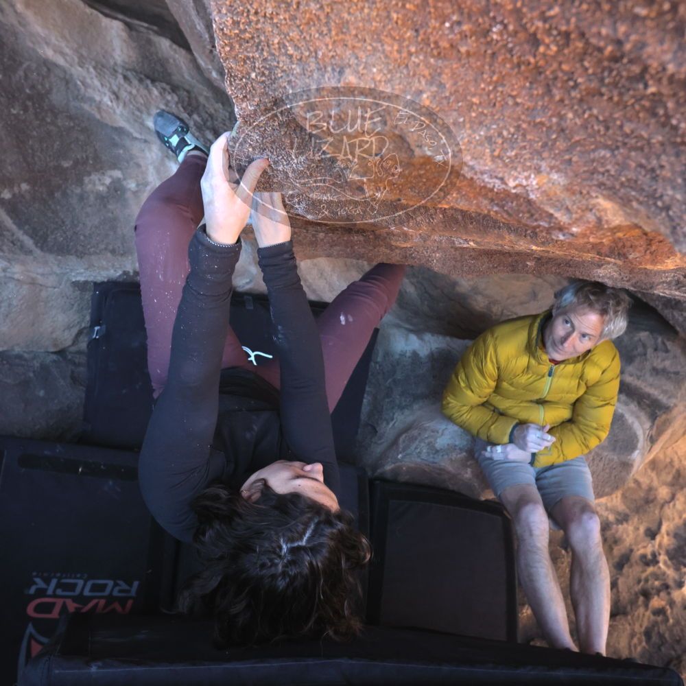 

Filename: SRM_20260117_1417240.jpg
Aperture: f/5.6
Shutter Speed: 1/500
Body: Canon EOS R6
Lens: Canon EF 16-35mm f/2.8 L