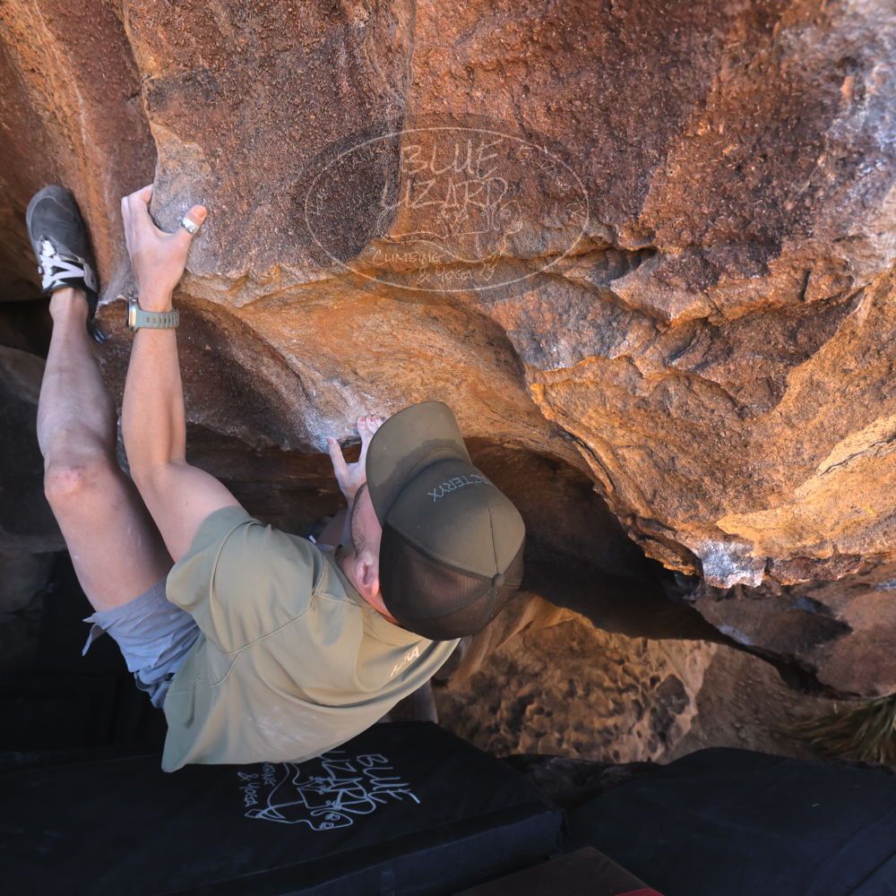 

Filename: SRM_20260117_1418340.jpg
Aperture: f/5.6
Shutter Speed: 1/500
Body: Canon EOS R6
Lens: Canon EF 16-35mm f/2.8 L