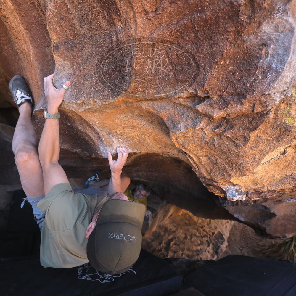 

Filename: SRM_20260117_1418350.jpg
Aperture: f/5.6
Shutter Speed: 1/500
Body: Canon EOS R6
Lens: Canon EF 16-35mm f/2.8 L