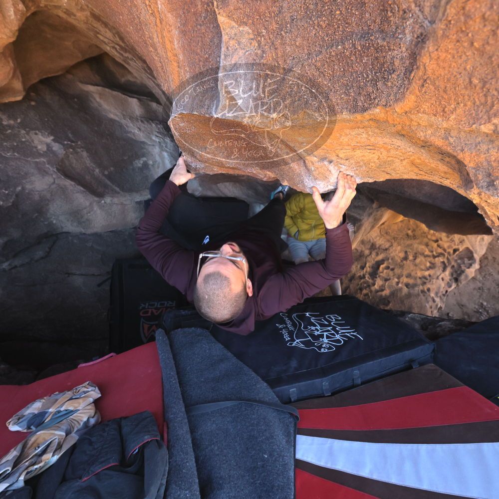 

Filename: SRM_20260117_1420160.jpg
Aperture: f/5.6
Shutter Speed: 1/640
Body: Canon EOS R6
Lens: Canon EF 16-35mm f/2.8 L