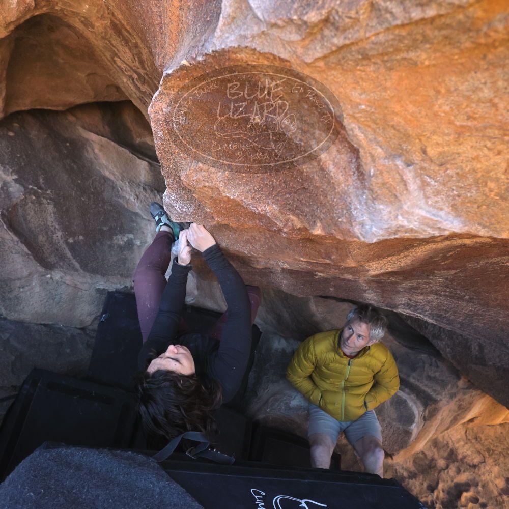 

Filename: SRM_20260117_1424540.jpg
Aperture: f/5.6
Shutter Speed: 1/640
Body: Canon EOS R6
Lens: Canon EF 16-35mm f/2.8 L