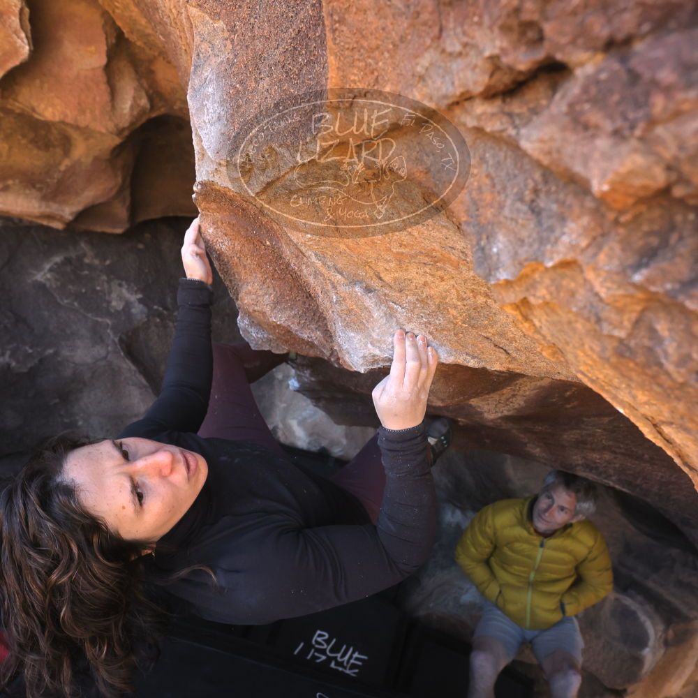 

Filename: SRM_20260117_1425120.jpg
Aperture: f/5.6
Shutter Speed: 1/640
Body: Canon EOS R6
Lens: Canon EF 16-35mm f/2.8 L