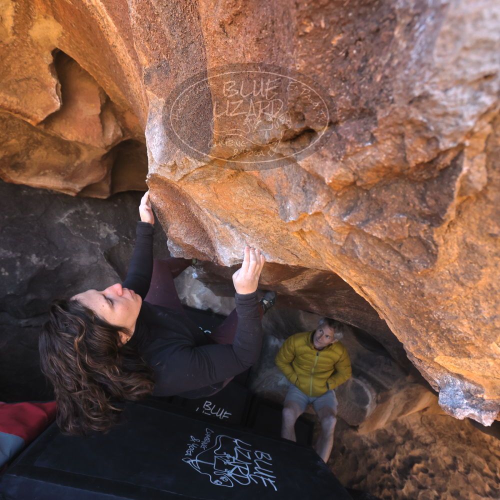 

Filename: SRM_20260117_1425130.jpg
Aperture: f/5.6
Shutter Speed: 1/640
Body: Canon EOS R6
Lens: Canon EF 16-35mm f/2.8 L