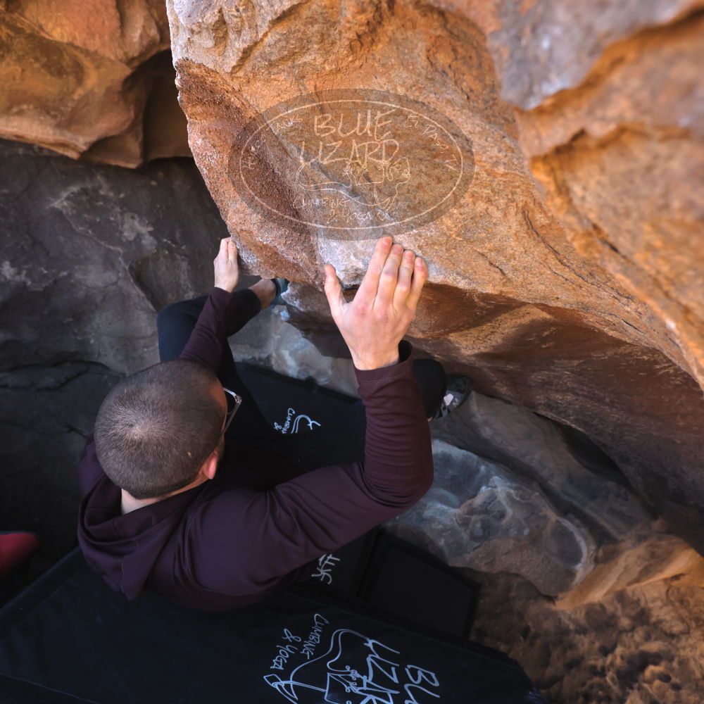 

Filename: SRM_20260117_1427451.jpg
Aperture: f/5.6
Shutter Speed: 1/640
Body: Canon EOS R6
Lens: Canon EF 16-35mm f/2.8 L