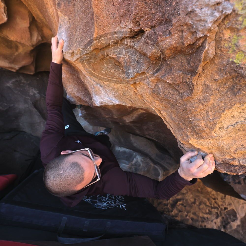 

Filename: SRM_20260117_1427500.jpg
Aperture: f/5.6
Shutter Speed: 1/640
Body: Canon EOS R6
Lens: Canon EF 16-35mm f/2.8 L